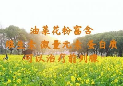 油菜花粉有哪些功效与作用？