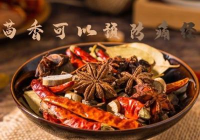 小茴香的作用是什么？小茴香有这5大强大功效