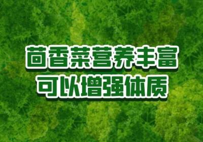 茴香菜的功效和作用，很多人都不知道，快来了解一下