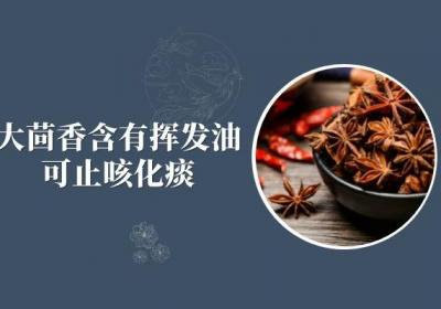 大茴香的功效有哪些？这些你绝对想不到