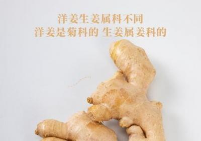 洋姜和生姜的区别是什么？四个方面教你区分