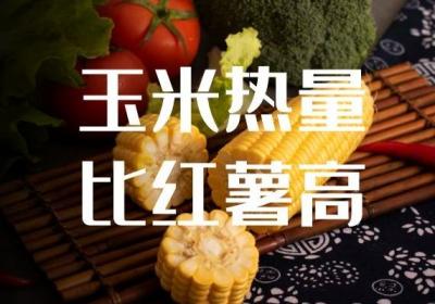食用玉米和红薯哪个更减肥？到底哪个更适合减肥人群