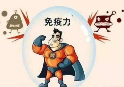 榛子的功效与作用是什么？