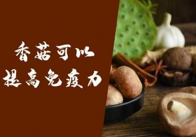 香菇的功效与作用以及禁忌分别是什么？