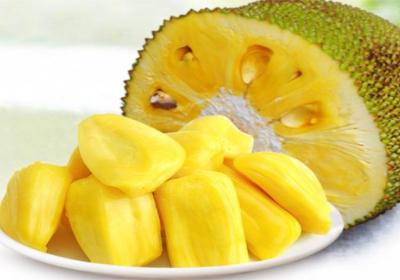 菠萝蜜的功效与作用是什么？