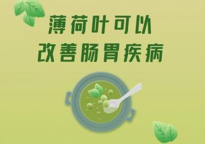 关于薄荷叶的功效和作用，你知道多少？