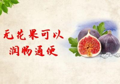 无花果的营养价值及功效都有哪些？合适哪些人食用？