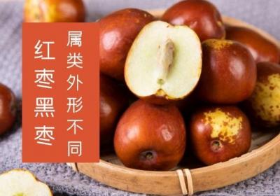 红枣和黑枣的区别是什么？哪一种的营养价值更好呢？