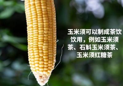 既然玉米须对身体的作用非常好，那么玉米须的食用方法有哪些呢？