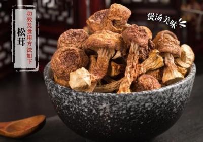 吃个明白，解锁松茸菌的功效与作用及食用方法