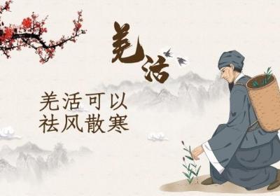 根茎中药羌活的功效与作用禁忌分别是什么呢？