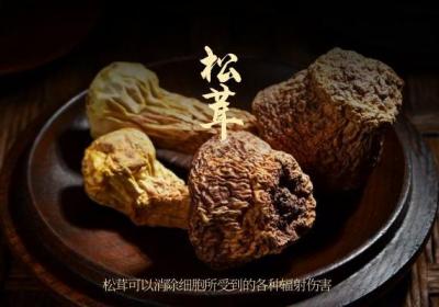 ​为啥卖得贵，从松茸的功效与作用就能看得出