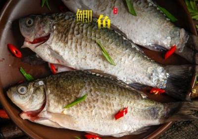鲫鱼的营养价值及功效到底有多好？大病初愈，生完孩子都被建议食用鲫鱼！
