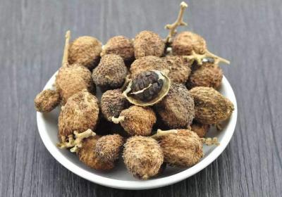 砂仁的功效和作用，原来有这么多，我现在才知道