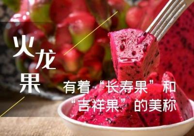 “长寿果”火龙果的功效和作用有哪些？