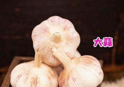 大蒜泡酒你喝过吗？那么大蒜泡酒喝的好处和禁忌分别是什么呢？