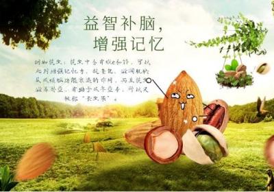 都说“每日一坚果，疾病远离我”，那么坚果的功效与作用是什么呢？