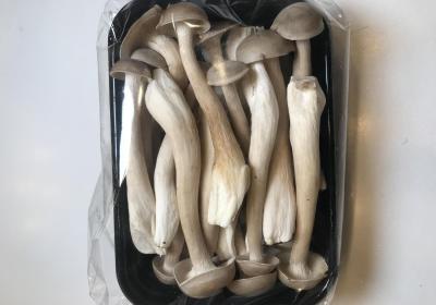 鹿茸菇的功效有哪些？常吃鹿茸菇有什么好处？
