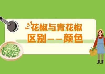 除了颜色之外，青花椒和红花椒的区别是什么呢？
