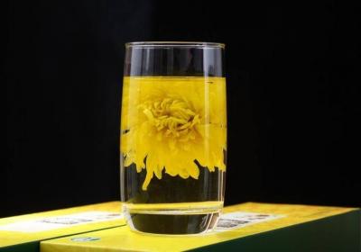 菊花茶的功效和作用是什么？原来还有这些