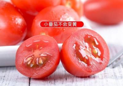 长期吃圣女果皮肤会变黄吗？还是可以美白呢？