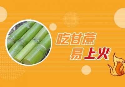 甘蔗吃多了有什么危害吗，吃甘蔗需要注意什么呢？