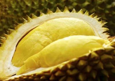 榴莲的功效和作用，你了解多少？