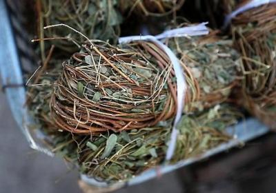 鸡骨草有养肝的作用，那么鸡骨草孕妇可以喝吗？