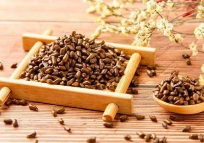 山楂决明子茶可以起到哪些功效？一起来看看吧！