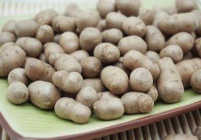 山药豆和山药的区别是什么，以及山药豆的功效与作用有哪些呢？