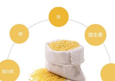 小米功效作用大，那么小米粥怎么煮最营养呢？