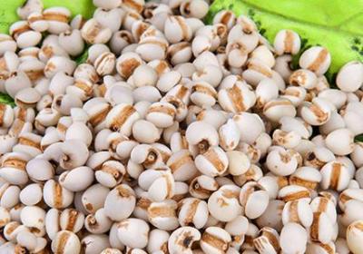 薏米茶虽好，但也不是所有人都能喝