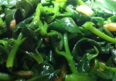 清炒穿心莲的食疗制作方法