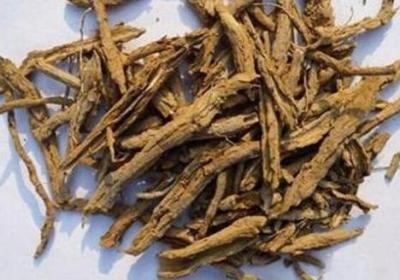 地骨皮有哪些功效作用及注意事项
