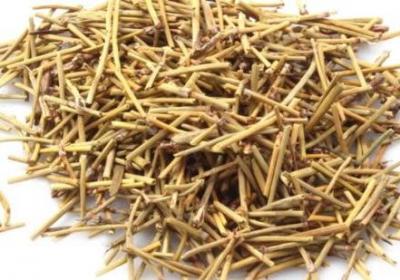 麻黄有哪些功效与作用及注意事项