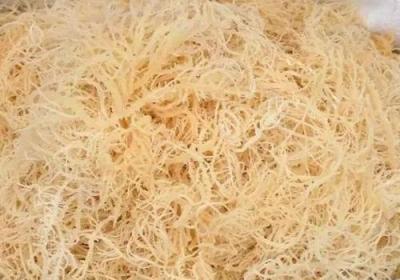 石花菜有哪些功效与作用及注意事项
