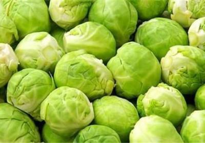圆白菜有哪些功效与作用及注意事项