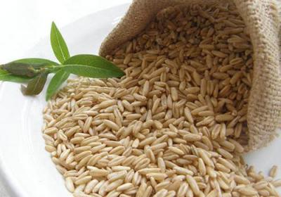 燕麦粉的作用可以调理肠胃