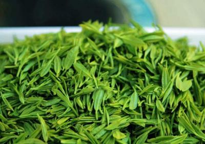 绿茶的功效与作用 喝绿茶的禁忌