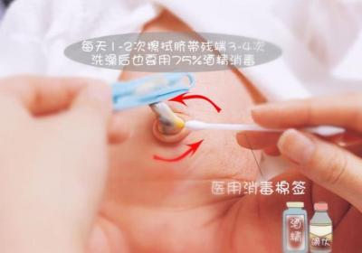 新生儿脐带护理的两个阶段