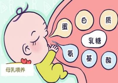 母乳与奶粉混合喂养的方法
