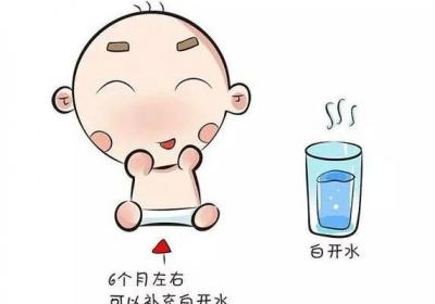 喝母乳的宝宝还需要喝水吗