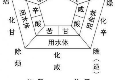 汤液经法