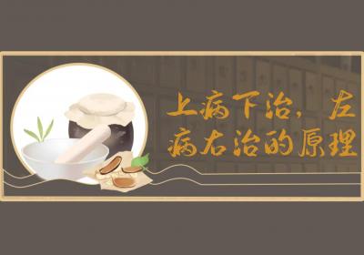 上病下治，左病右治的原理是什么？