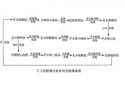 十二经脉的循行走向和交接规律