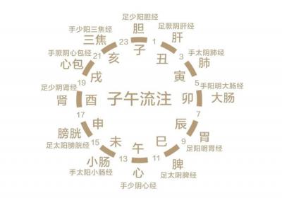 中医六经辨证简介