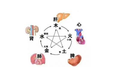 藏象学说的形成与近代简史表