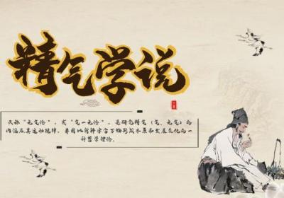 什么是精气学说？精气学说与整体观念