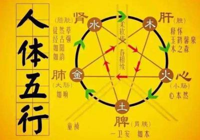 五运六气与中医的关系
