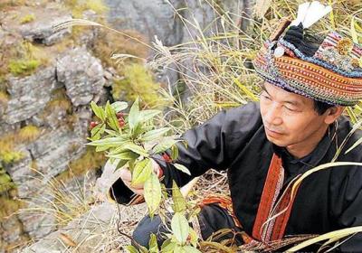 瑶医的发展历史
